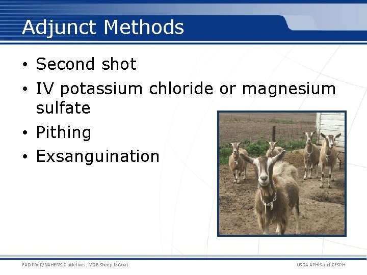 Adjunct Methods • Second shot • IV potassium chloride or magnesium sulfate • Pithing