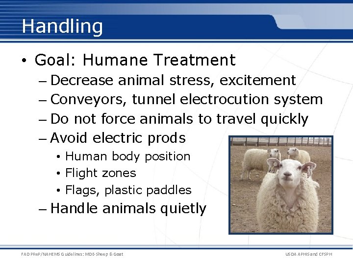 Handling • Goal: Humane Treatment – Decrease animal stress, excitement – Conveyors, tunnel electrocution