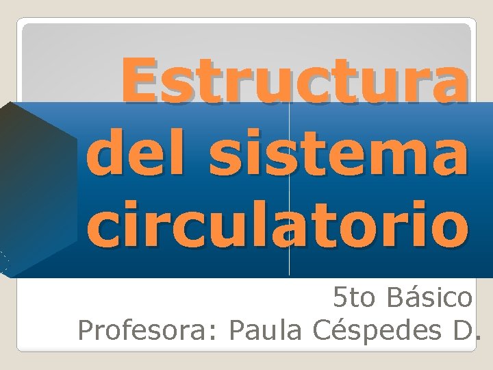 Estructura del sistema circulatorio 5 to Básico Profesora: Paula Céspedes D. 