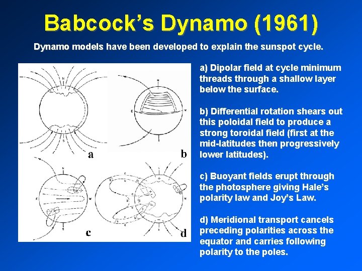 Babcock’s Dynamo (1961) Dynamo models have been developed to explain the sunspot cycle. a)