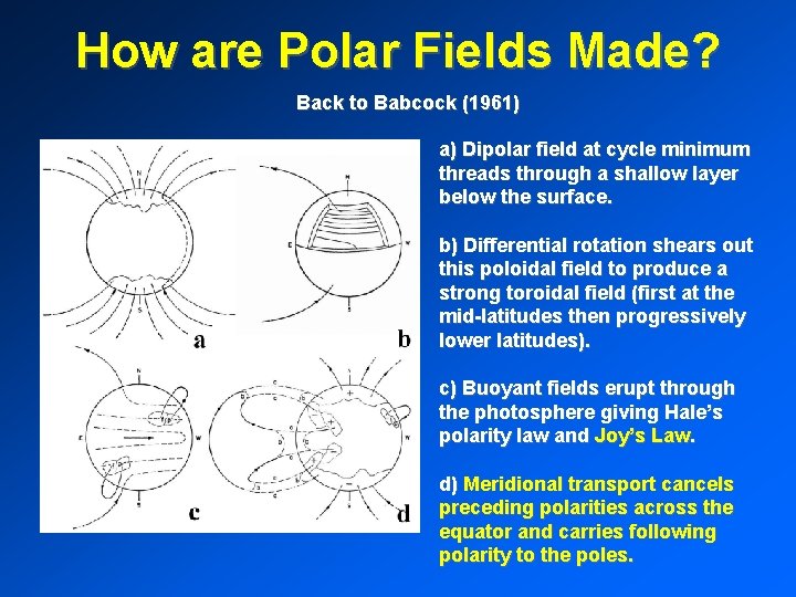 How are Polar Fields Made? Back to Babcock (1961) a) Dipolar field at cycle