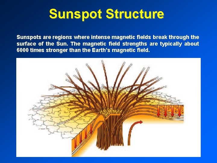 Sunspot Structure Sunspots are regions where intense magnetic fields break through the surface of