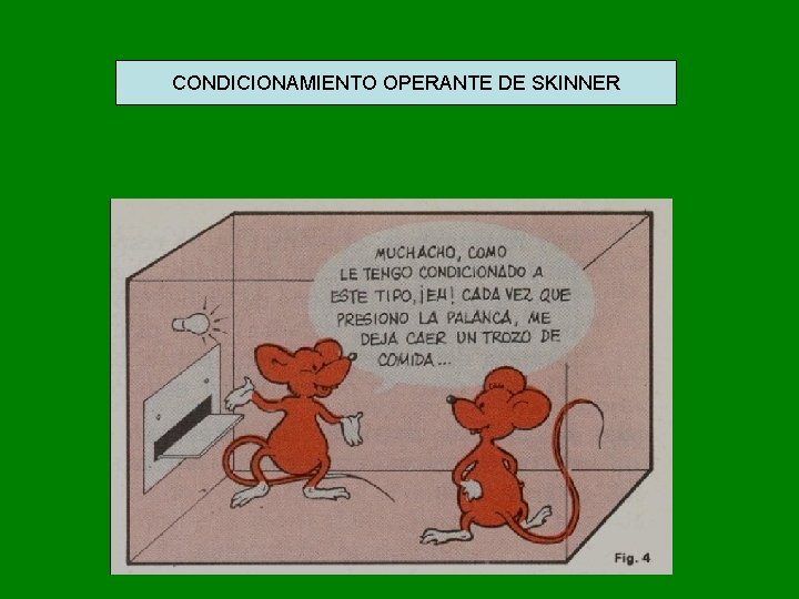 CONDICIONAMIENTO OPERANTE DE SKINNER CONDICIONAMIENTO OPERANTE DE SKINNER