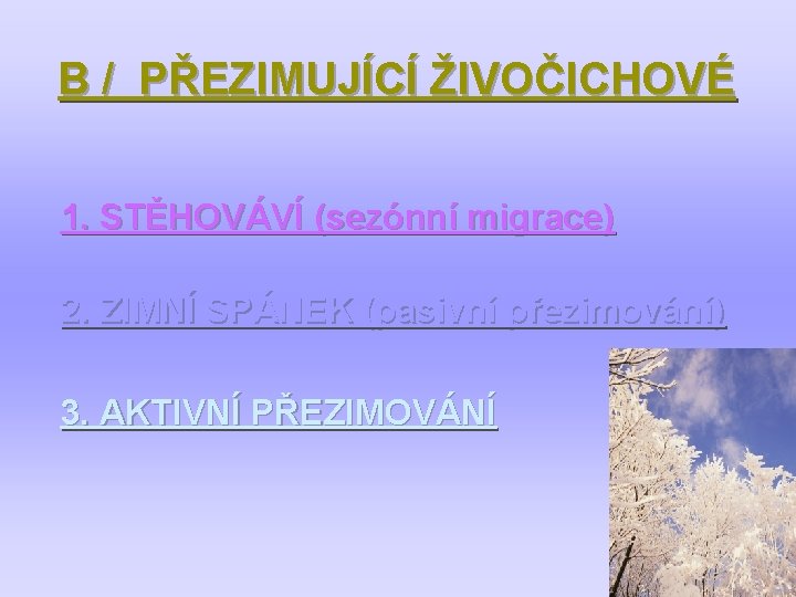 B / PŘEZIMUJÍCÍ ŽIVOČICHOVÉ 1. STĚHOVÁVÍ (sezónní migrace) 2. ZIMNÍ SPÁNEK (pasivní přezimování) 3.