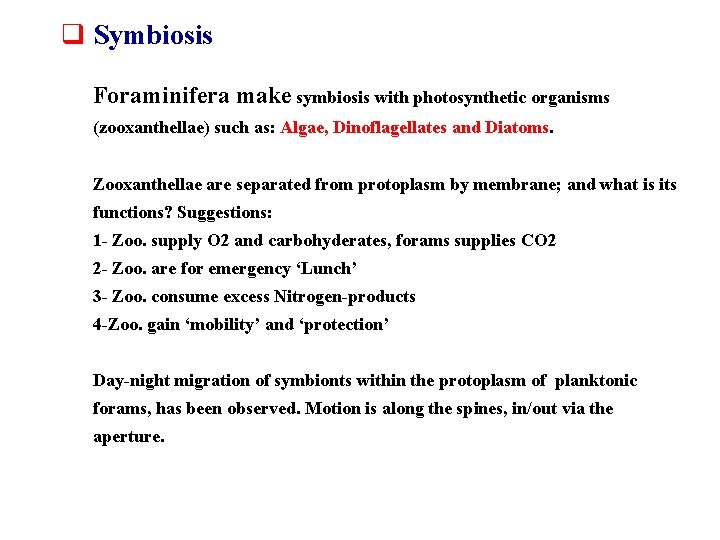 q Symbiosis Foraminifera make symbiosis with photosynthetic organisms (zooxanthellae) such as: Algae, Dinoflagellates and