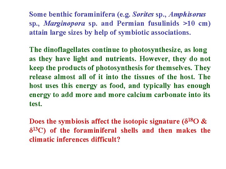Some benthic foraminifera (e. g. Sorites sp. , Amphisorus sp. , Marginopora sp. and