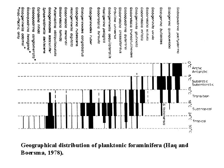 Geographical distribution of planktonic foraminifera (Haq and Boersma, 1978). 