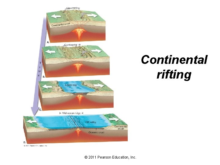 Continental rifting © 2011 Pearson Education, Inc. 