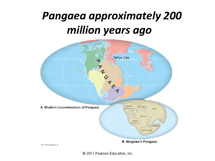 Pangaea approximately 200 million years ago © 2011 Pearson Education, Inc. 