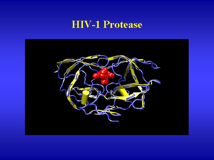 HIV-1 Protease 