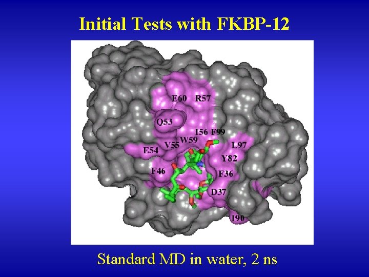 Initial Tests with FKBP-12 Standard MD in water, 2 ns 