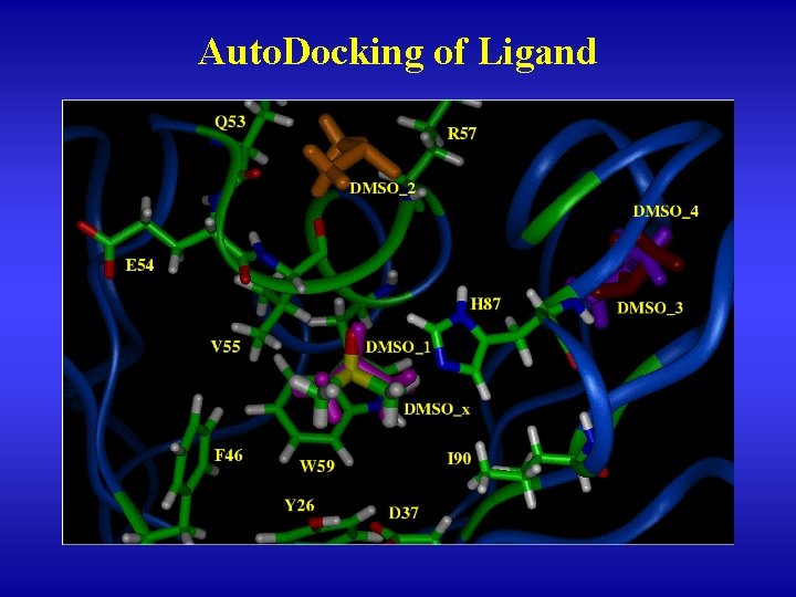 Auto. Docking of Ligand 