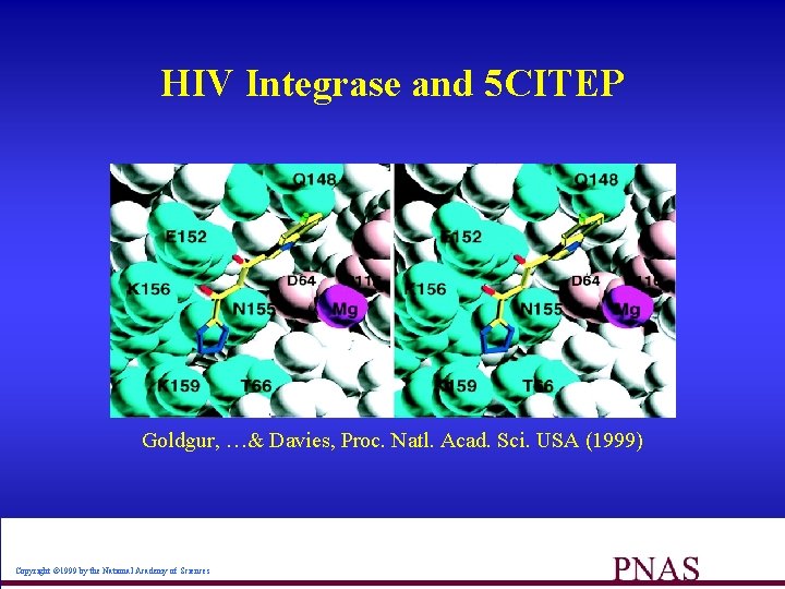 HIV Integrase and 5 CITEP Goldgur, …& Davies, Proc. Natl. Acad. Sci. USA (1999)