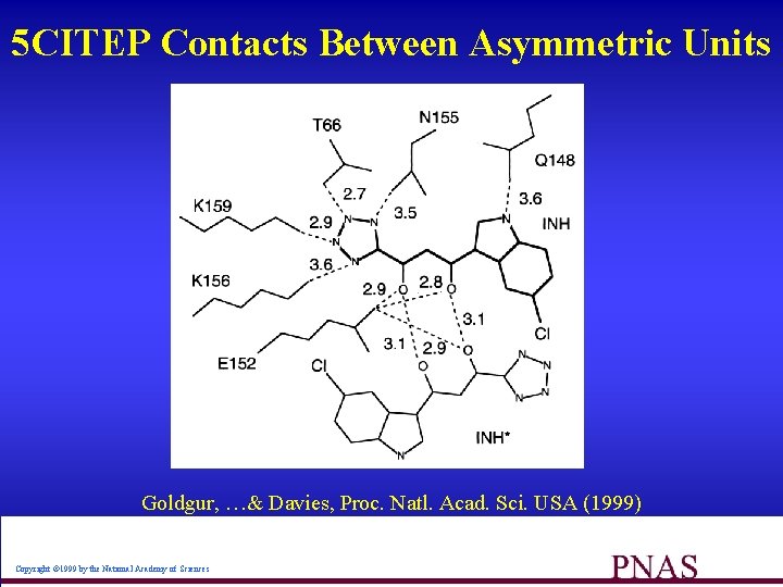 5 CITEP Contacts Between Asymmetric Units Goldgur, …& Davies, Proc. Natl. Acad. Sci. USA