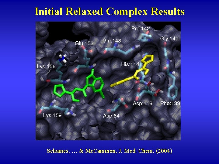 Initial Relaxed Complex Results Schames, … & Mc. Cammon, J. Med. Chem. (2004) 