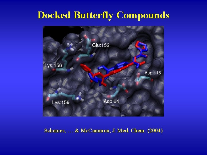 Docked Butterfly Compounds Schames, … & Mc. Cammon, J. Med. Chem. (2004) 