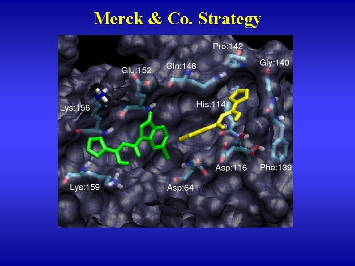 Merck & Co. Strategy 