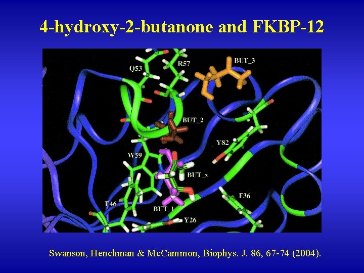 4 -hydroxy-2 -butanone and FKBP-12 Swanson, Henchman & Mc. Cammon, Biophys. J. 86, 67