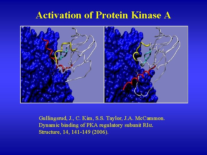 Activation of Protein Kinase A Gullingsrud, J. , C. Kim, S. S. Taylor, J.