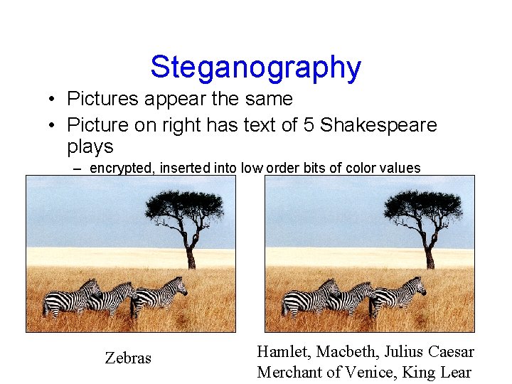 Steganography • Pictures appear the same • Picture on right has text of 5