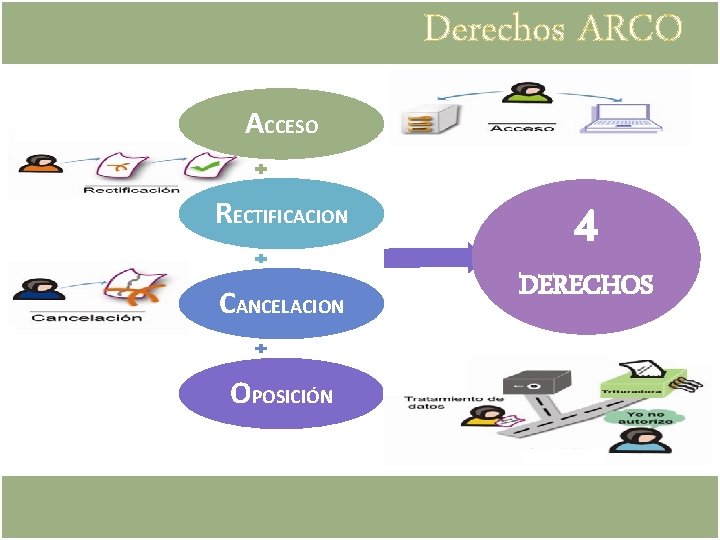Derechos ARCO ACCESO RECTIFICACION CANCELACION OPOSICIÓN 4 DERECHOS 