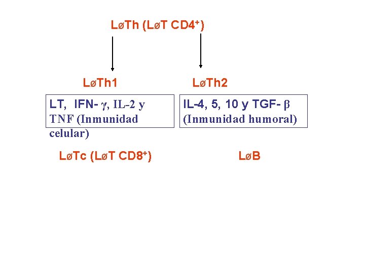 LØTh (LØT CD 4+) LØTh 1 LT, IFN- γ, IL-2 y TNF (Inmunidad celular)