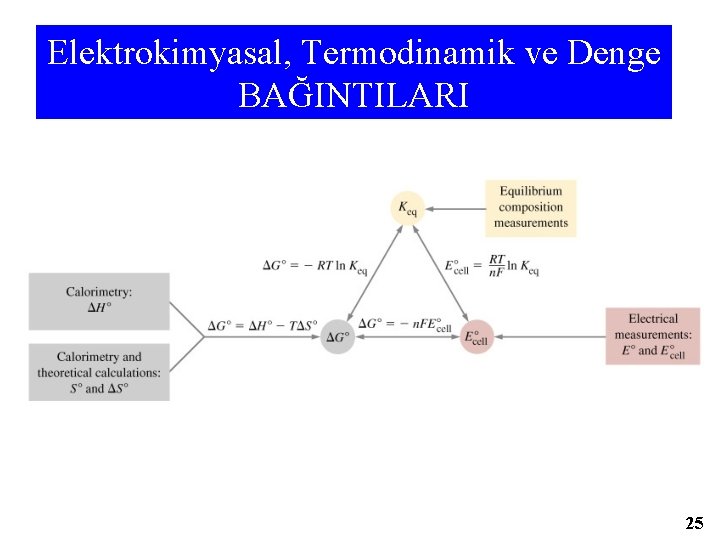 Elektrokimyasal, Termodinamik ve Denge BAĞINTILARI 25 