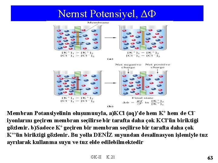 Nernst Potensiyel, Δ Membran Potansiyelinin oluşumuuyla, a)KCl (aq)’de hem K+ hem de Cliyonlarını geçiren