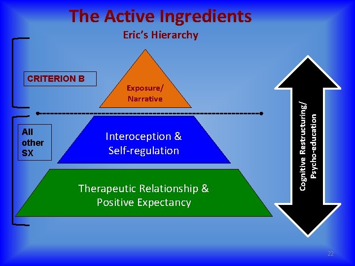 The Active Ingredients CRITERION B All other SX Exposure/ Narrative Interoception & Self-regulation Therapeutic