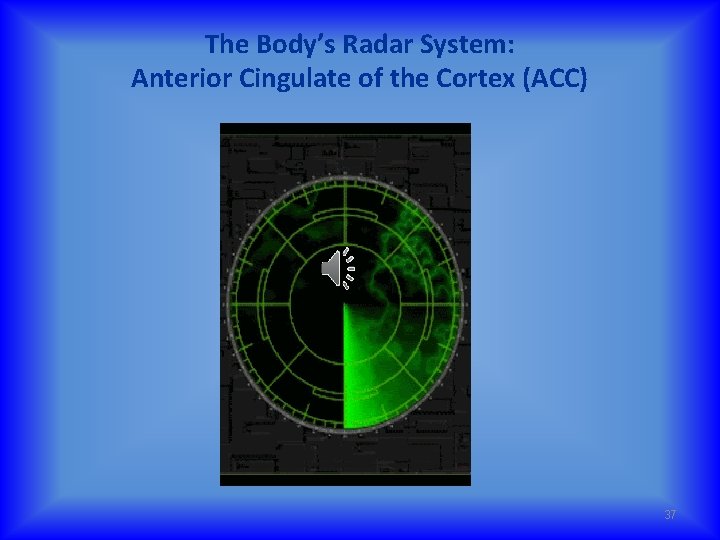 The Body’s Radar System: Anterior Cingulate of the Cortex (ACC) 37 