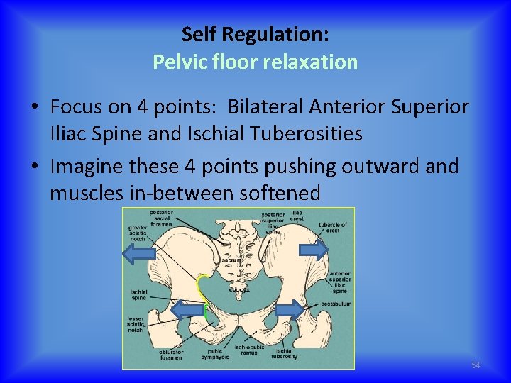 Self Regulation: Pelvic floor relaxation • Focus on 4 points: Bilateral Anterior Superior Iliac