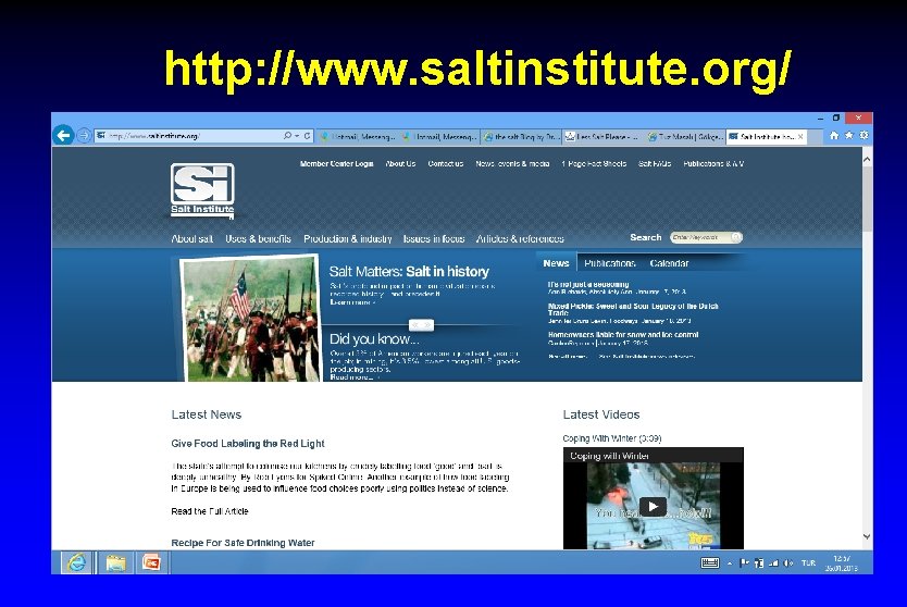 http: //www. saltinstitute. org/ 