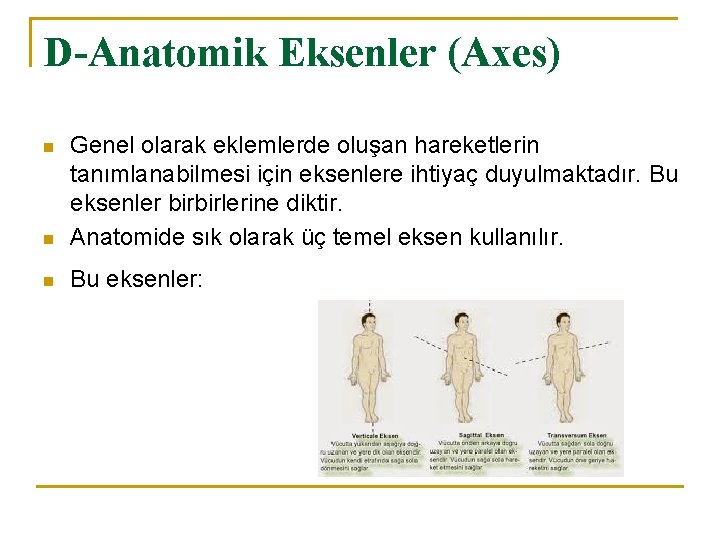D-Anatomik Eksenler (Axes) n Genel olarak eklemlerde oluşan hareketlerin tanımlanabilmesi için eksenlere ihtiyaç duyulmaktadır. D-Anatomik Eksenler (Axes) n Genel olarak eklemlerde oluşan hareketlerin tanımlanabilmesi için eksenlere ihtiyaç duyulmaktadır.