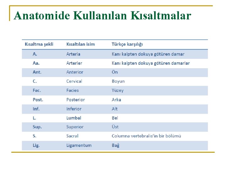 Anatomide Kullanılan Kısaltmalar Anatomide Kullanılan Kısaltmalar