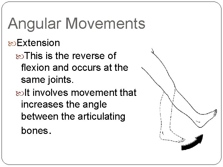 Angular Movements Extension This is the reverse of flexion and occurs at the same