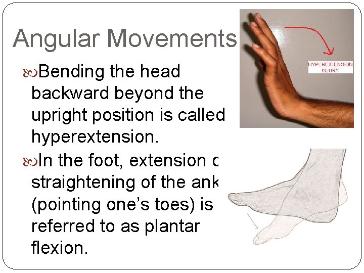 Angular Movements Bending the head backward beyond the upright position is called hyperextension. In