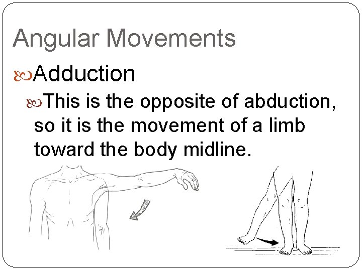 Angular Movements Adduction This is the opposite of abduction, so it is the movement