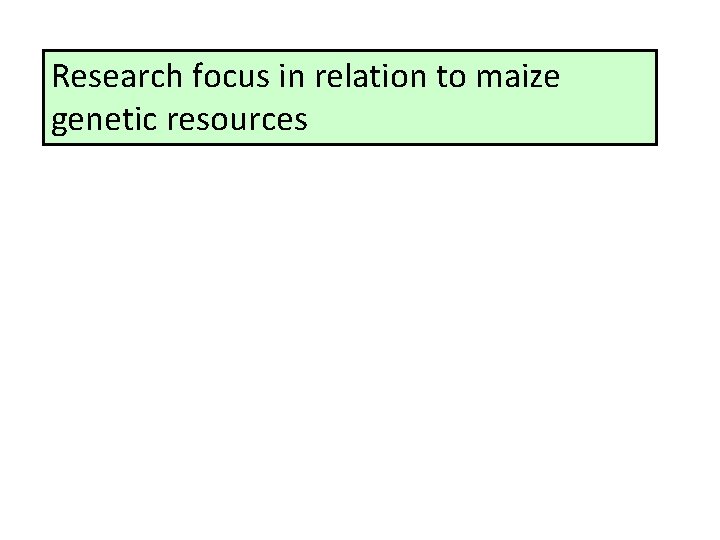 Research focus in relation to maize genetic resources 
