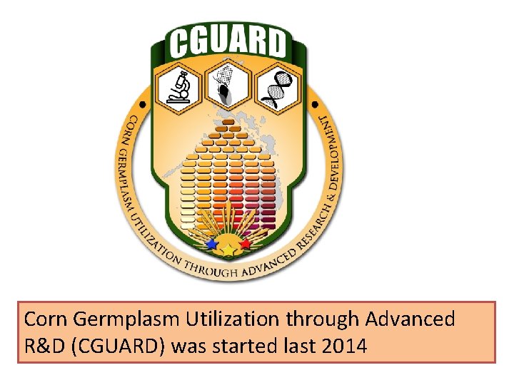 Corn Germplasm Utilization through Advanced R&D (CGUARD) was started last 2014 