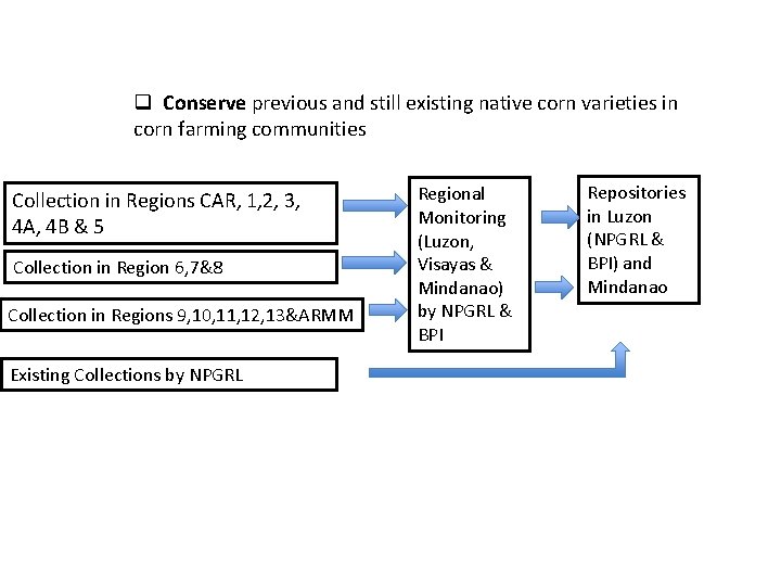 q Conserve previous and still existing native corn varieties in corn farming communities Collection