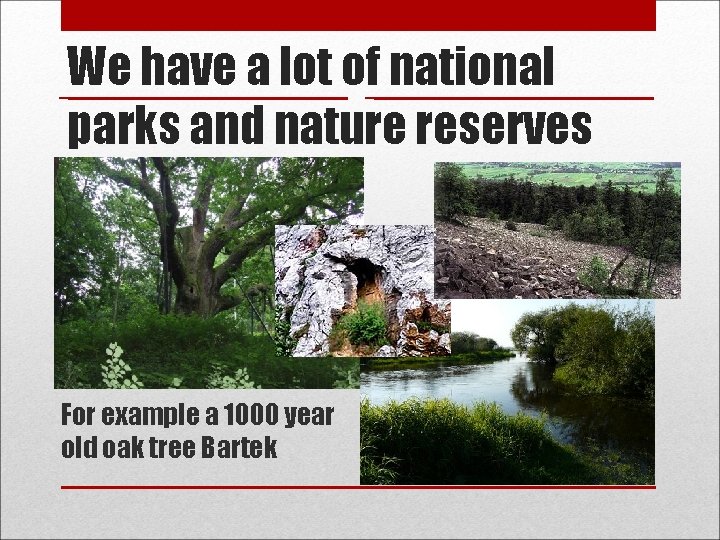 We have a lot of national parks and nature reserves For example a 1000