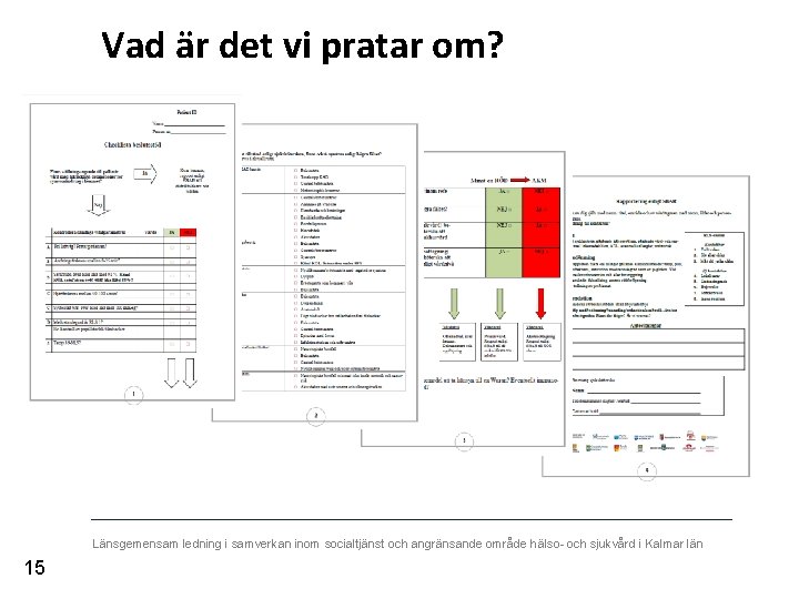 Vad är det vi pratar om? Länsgemensam ledning i samverkan inom socialtjänst och angränsande
