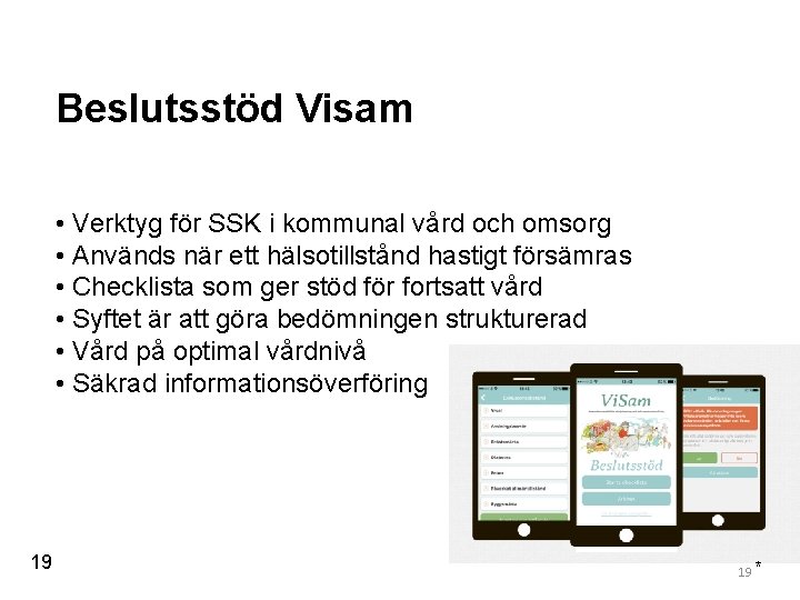 Beslutsstöd Visam • Verktyg för SSK i kommunal vård och omsorg • Används när