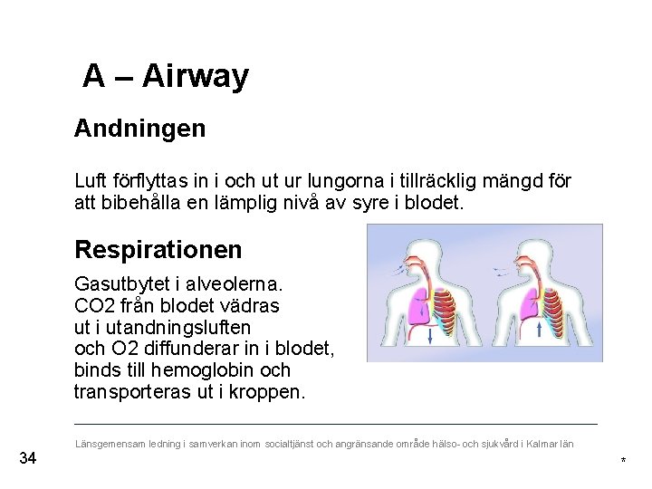 A – Airway Andningen Luft förflyttas in i och ut ur lungorna i tillräcklig