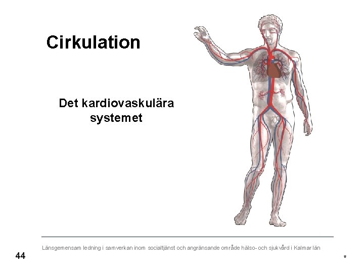 Cirkulation Det kardiovaskulära systemet 44 Länsgemensam ledning i samverkan inom socialtjänst och angränsande område