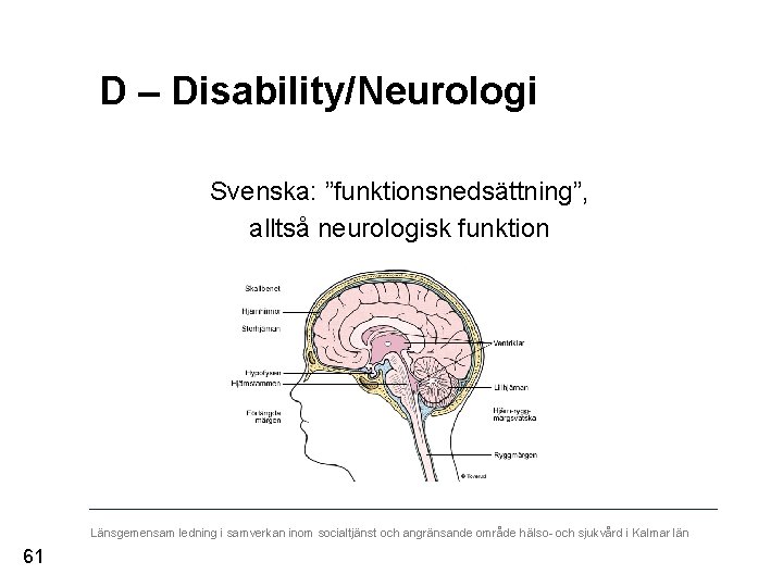 D – Disability/Neurologi Svenska: ”funktionsnedsättning”, alltså neurologisk funktion Länsgemensam ledning i samverkan inom socialtjänst