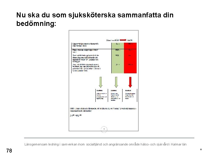 Nu ska du som sjuksköterska sammanfatta din bedömning: Länsgemensam ledning i samverkan inom socialtjänst
