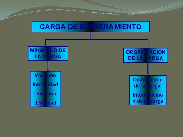 CARGA DE ENTRENAMIENTO MAGNITUD DE LA CARGA Volumen Intensidad Duración densidad ORGANIZACIÓN DE LA