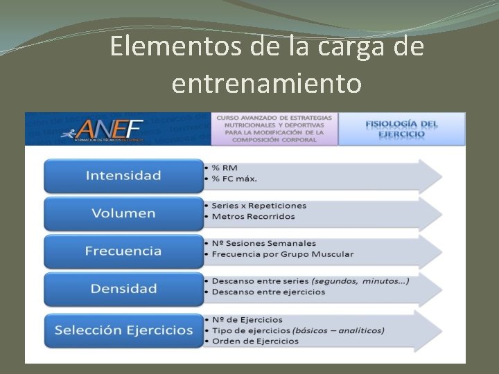 Elementos de la carga de entrenamiento 