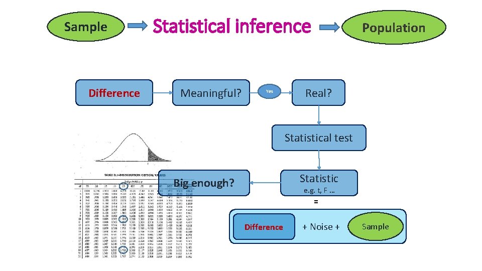 Sample Difference Statistical inference Meaningful? Yes Population Real? Statistical test Statistic Big enough? e.